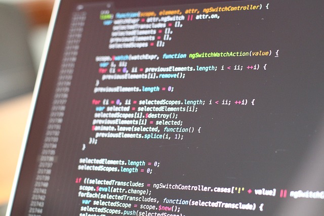custom web application development